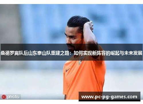 桑德罗离队后山东泰山队重建之路：如何实现新阵容的崛起与未来发展