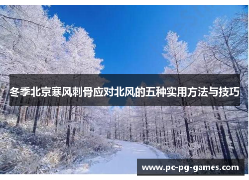 冬季北京寒风刺骨应对北风的五种实用方法与技巧