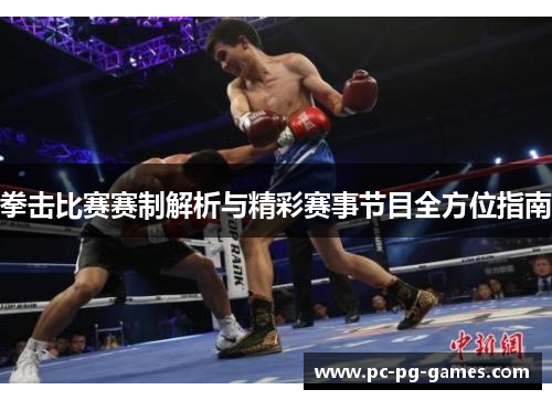 拳击比赛赛制解析与精彩赛事节目全方位指南