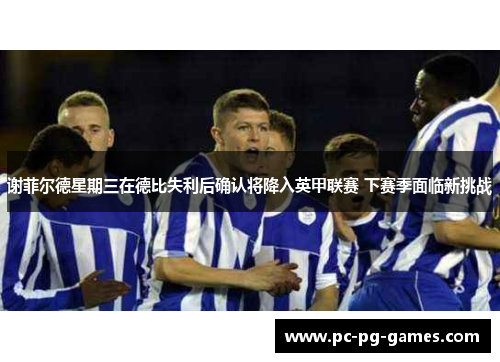 谢菲尔德星期三在德比失利后确认将降入英甲联赛 下赛季面临新挑战
